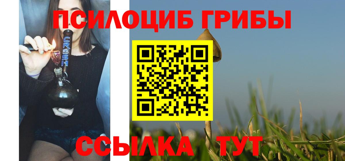 Галлюциногенные грибы GOLDEN TEACHER Вышний Волочёк