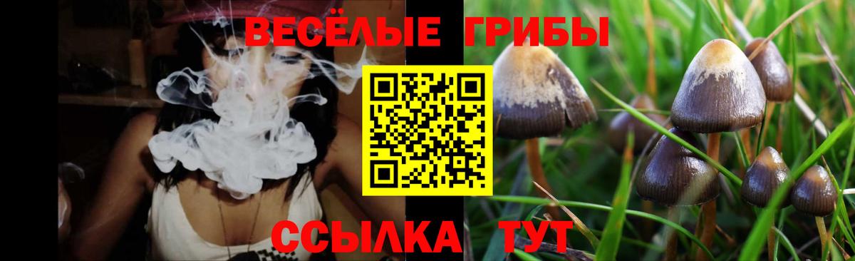 наркота  Галлюциногенные грибы Cubensis  Вход с VPN  Вышний Волочёк 