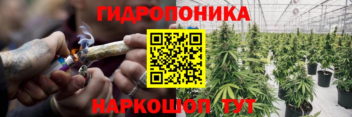 Каннабис индика Вышний Волочёк